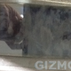 Illustration for article titled Are These the First Photos of the Samsung Galaxy SIII?